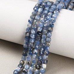 Кианит Натуральный кианитовые бисер пряди, граненые, кубические, 4~5x4~5x4~5 мм, отверстие : 1 мм, около 95~96 шт / нитка, 15.16'' (38.5 см)
