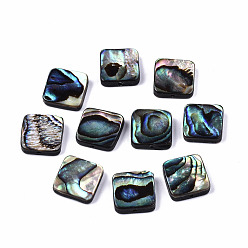 Colorful Natural Abalone Shell/Paua Shell Beads, Square, Colorful, 11.5~12.5x11.5~12.5x3.5mm, Hole: 1mm