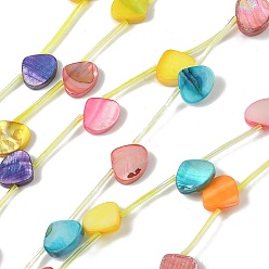 (52) Непрозрачная лаванда Естественных пресноводных оболочки бисер нитей, окрашенные, с покрытием AB цвета, треугольные, разноцветные, 10~10.5x12x3~3.5 мм, отверстие : 0.5 мм, около 14 шт / нитка, 16.73''~17.13'' (42.5~43.5 см).