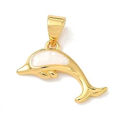Настоящее золото 18K Латунь эмаль подвески, с естественной оболочке, прелести дельфинов, долговечный, стойки покрытие, без свинца и без кадмия, реальный 18 k позолоченный, 13x18x3 мм, отверстие : 4.5x3.5 мм