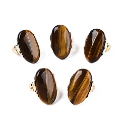 Тигровый глаз Натуральный тигровый глаз эластичные кольца, овальные, с позолоченной сплавочной фурнитурой, 37~38x25 мм, 19 мм