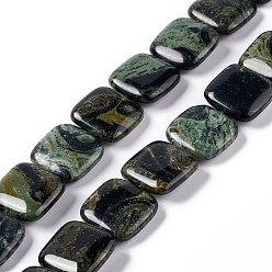 Kambaba Jasper Natural Kambaba Jasper Beads Strands, Square, 19.5~20x19.5~20x6.5~7mm, Hole: 1.2mm, about 20pcs/strand, 15.59''~15.91''(39.6~40.4cm)
