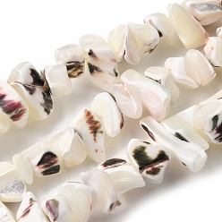 Белый Натуральная оболочка из трохидных оболочек, окрашенные, самородки, белые, 5~22x7~15x3~8 мм, отверстие : 1.2 мм, около 65~70 шт / нитка, 14.69~15.35'' (37.3~39 см)