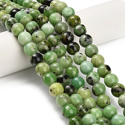 Змеевик Природные серпантину нитей бисера, круглые, 8~8.5 мм, отверстие : 0.9 мм, около 50 шт / нитка, 15.87'' (40.3 см)