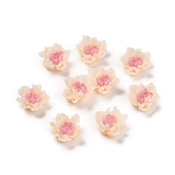 Сиена Светящаяся смола декодирует кабошоны, светящийся в темноте цветок, цвет охры, 9.5x9.5x5 мм