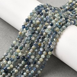 Кианит Натуральные нити из кианита / цианита / дистенового бисера, градиент цвета, граненые, класс А, круглые, 3 мм, отверстие : 0.6 мм, около 125~126 шт / нитка, 14.96~15.16'' (38~38.5 см)