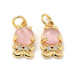 Настоящее золото 18K Кулоны из экологически чистой латуни с прозрачным кубическим цирконием, с кошачьим глазом и прыгающим кольцом, без кадмия и без свинца, осьминог, реальный 18 k позолоченный, 13x8x5 мм, отверстие : 3.2 мм