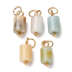 Flower Amazonite Подвески-колонны из натурального цветка амазонита с 304 соединительными кольцами из нержавеющей стали, золотые, 14x6 мм, отверстие : 4 мм