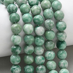 Камень с Зелеными Точками Натуральные зеленые пятна яшмовых нитей, круглые, 8 мм, отверстие : 1.2 мм, около 49 шт / нитка, 15.28'' (38.8 см)