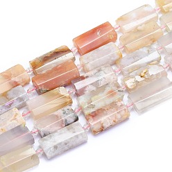 Вишневый агат Натуральные вишневые агатовые бусины, прямоугольные, граненые, 27~29x13~14x6~7 мм, отверстие : 1.5 мм, около 12 шт / нитка, 14.96 дюйм (38 см)