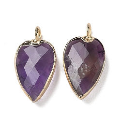Amethyst Natural Amethyst Pendants, with Golden Plated Brass Edge Loops, Faceted, Heart Charms, 23~23.5x12~12.5x5.5mm, Hole: 3mm