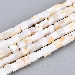 Морская Ракушка Естественных пресноводных оболочки бисер нитей, колонка, цвет морской раковины, 1~3.5x3~4.5 мм, отверстие : 0.5 мм, около 115~117 шт / нитка, 14.96~15.16 дюйм (38~38.5 см)
