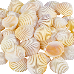 Желтый 40 шт. натуральной ракушки для украшения аквариума, желтые, 32~50x28~44x10~19 мм