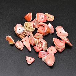 Light Salmon Dyed Natural Shell Nuggets Chips Beads, Light Salmon, 11~20x5~15mm, Hole: 1mm, about 850pcs/500g
