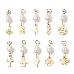 Mixed Shapes Натуральный культивированный пресноводный жемчужный рис с 304 подвесками из нержавеющей стали, подвески-кресты с ангелом и медвежьими крыльями, белые, золотые, разнообразные, 21~24x6~9x5~5.5 мм, отверстие : 3.5 мм
