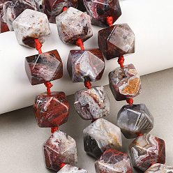 Натуральный Агат Нити из натурального мексиканского агата/агатового кружева, граненые, ромб, 14~14.5x13.5~14x13.5~14 мм, отверстие : 1.2 мм, около 21~22 шт / нитка, 16.14~17.13'' (41~43.5 см)