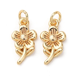 Настоящее золото 18K Латунные подвески, , без кадмия и без свинца, стойки покрытие, долговечный, с целью перехода в кольце, реальный 18 k позолоченный, 13.5x7.5x2 мм, отверстие : 2.3 мм