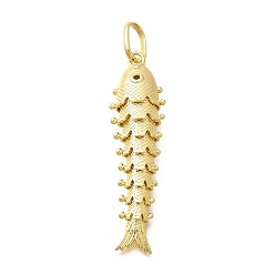 Настоящее золото 18K Стойки обшивки латунные подвески, рыбы прелести, долговечный, без свинца и без кадмия, с целью перехода в кольце, реальный 18 k позолоченный, 60x16x10 мм