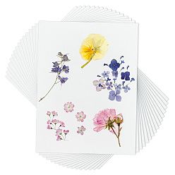 Белый Высушенная рельефная бумага, прямоугольные, белые, 200x150x0.4 мм