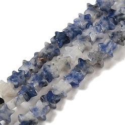 Blue Spot Jasper Natural Blue Spot Jasper Beads Strands, Star, 6x5.5x2mm, Hole: 0.8mm, about 75pcs/strand, 14.57 inch(37cm)