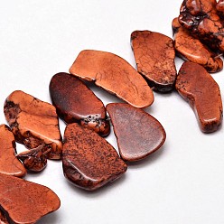 Коралловый Крашеные бусины из натурального магнезита, самородки, коралл, 18~24x28~36x5~6 мм, отверстие : 0.8 мм