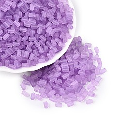 Orchidéeée Moyen Perles de rocaille en verre transparent dépoli fgb, colonne, trou rond, teint et cœur, moyen orchidée, 5~6.5x3~4mm, Trou: 0.7~0.9mm, environ 4500 pcs / livre