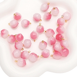 Золотой 5 шт. Стеклянные подвески, с петлями из сплава, персик, золотые, 17x13 мм