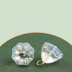 Прозрачный Подвески из смолы, стручок из лотоса, имитация нефрита, прозрачные, 11x10 мм