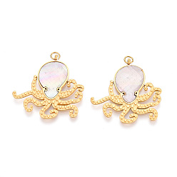 Раковина 304 подвески из натуральной ракушки из нержавеющей стали, подвески в виде осьминога с соединительными кольцами, реальный 18 k позолоченный, ионное покрытие (ip), 28x27.5x3 мм, отверстие : 2.5 мм