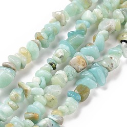 Flower Amazonite Натуральный цветок амазонитовые чипсы бусины пряди, класс А, 5~8x5~8 мм, отверстие : 1 мм, о 31.5 дюйме