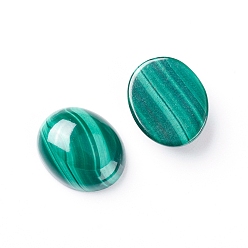 Малахит Природные кабошон малахита, овальные, 12x10x3.5~4.5 мм
