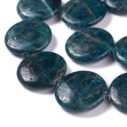 Apatite Perles naturelles apatite brins, plat rond, 30x8mm, Trou: 0.8mm, Environ 13 pcs/chapelet, 15.16 pouce (38.5 cm)
