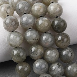 Лабрадорита Естественно лабрадорита шарик нити, круглые, 8 мм, отверстие : 1 мм, около 47 шт / нитка, 15.5 дюйм