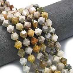 Бамбуковые Листья Агат Природные бамбуковых листьев агат бисер нитей, восьмиугольник, граненые, с бисером, 9~10.5x9~10.5x7.5~8.5 мм, отверстие : 1 мм, около 36~40 шт / нитка, 15.35~15.55 дюйм (39~39.5 см)