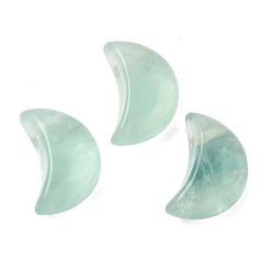 Флюорит Естественный зеленый подвески флюорита, прелести полумесяца, 19x13~13.5x8.5~9 мм, отверстие : 1.8 мм