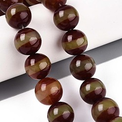 Striped Pattern Нити бусин дзи агат в тибетском стиле, природных бисера агат, окрашенная и подогревом, круглые, седло коричневый, полосатый рисунок, 13.5~14.5 мм, отверстие : 1.2~1.4 мм, около 25 шт / нитка, 13.78 дюйм (35 см)