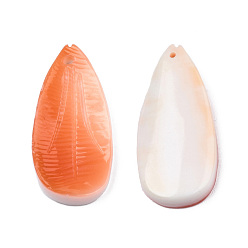 Trochus Shell Natural Red Trochus Shell Pendants, Leaf Charm, 23x10.5x2.5~4mm, Hole: 0.8mm