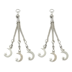 Античное Серебро Большие подвески с кисточками из сплава в тибетском стиле, античное серебро, 83x2 мм, отверстие : 5 мм, Кулон : 16.5x11x1 мм