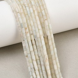 Flower Amazonite Natural Flower Amazonite Beads Strands, Column, 4x2mm, Hole: 0.8mm, about 102pcs/strand, 15.75''(40cm)