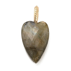 Labradorite Natural Labradorite Pendants, Faceted Heart Charms with Brass Findings, Golden, 27x12x7mm, Hole: 6.5x4mm