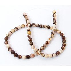 Zebra Jasper Natural Zebra Jasper Beads Strands, Round, Colorful, 6mm, Hole: 1mm