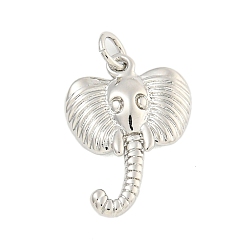 Платина Стойки обшивки латунные подвески, без кадмия и без свинца, долговечный, слон, с целью перехода в кольце, платина, 19.5x14x2.5 мм, отверстие : 3 мм