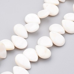 Floral White Natural Shell Beads Strands, Top Drilled Beads, Dyed, Teardrop, Floral White, 18x13x5mm, Hole: 0.5mm, about 37~42pcs/strand, 14.7 inch
