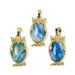 Полосатый Агат Подвеска из натурального полосчатого агата (окрашенного и нагретого), с латунной фурнитурой , без свинца и без кадмия, долговечный, сова, 28.5x15.5x7 мм, отверстие : 5x8 мм