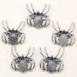 Лабрадорита Брошь из натурального лабрадорита, паук, античное серебро, 36x34 мм