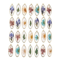 Oval Подвески из эпоксидной смолы, внутренние подвески из сушеных цветов, золотые, разноцветные, овальные, 37x15x3.5 мм, отверстие : 1.8 мм