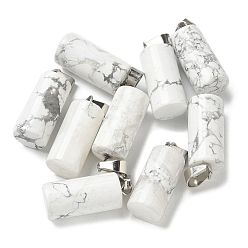 Говлит Природные подвески Говлит, с 201 вывод из нержавеющей стали, колонка, 25x10 мм, отверстие : 4x7 мм