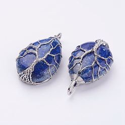 Ляпис-Лазурь Природный лазурит подвески, с латунной фурнитурой , слеза, платина, 44~46x26x12~13 мм, отверстие : 4x7 мм