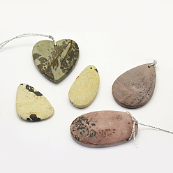 галька с  росписью Натуральные дендритные подвески из яшмы, чохуа яшма, разнообразные, 30~66x18~52x3~14 мм, отверстие : 2 мм