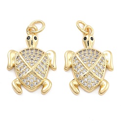 Tortoise Подвески из латуни с прозрачным фианитом, без кадмия и без свинца, черепаха, с целью перехода в кольце, черепаха, 21x14x4 мм, отверстие : 5 мм